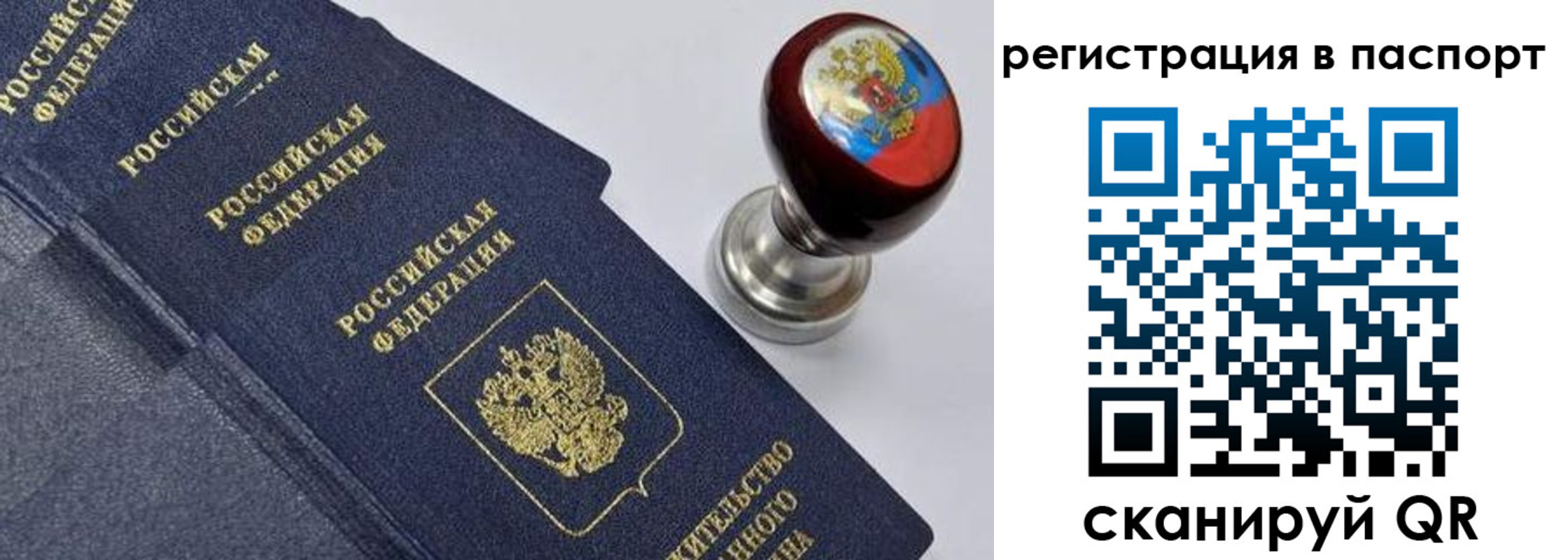 прописка поиск в Ермолино